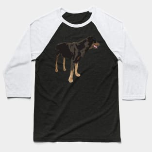 rottweiler Baseball T-Shirt